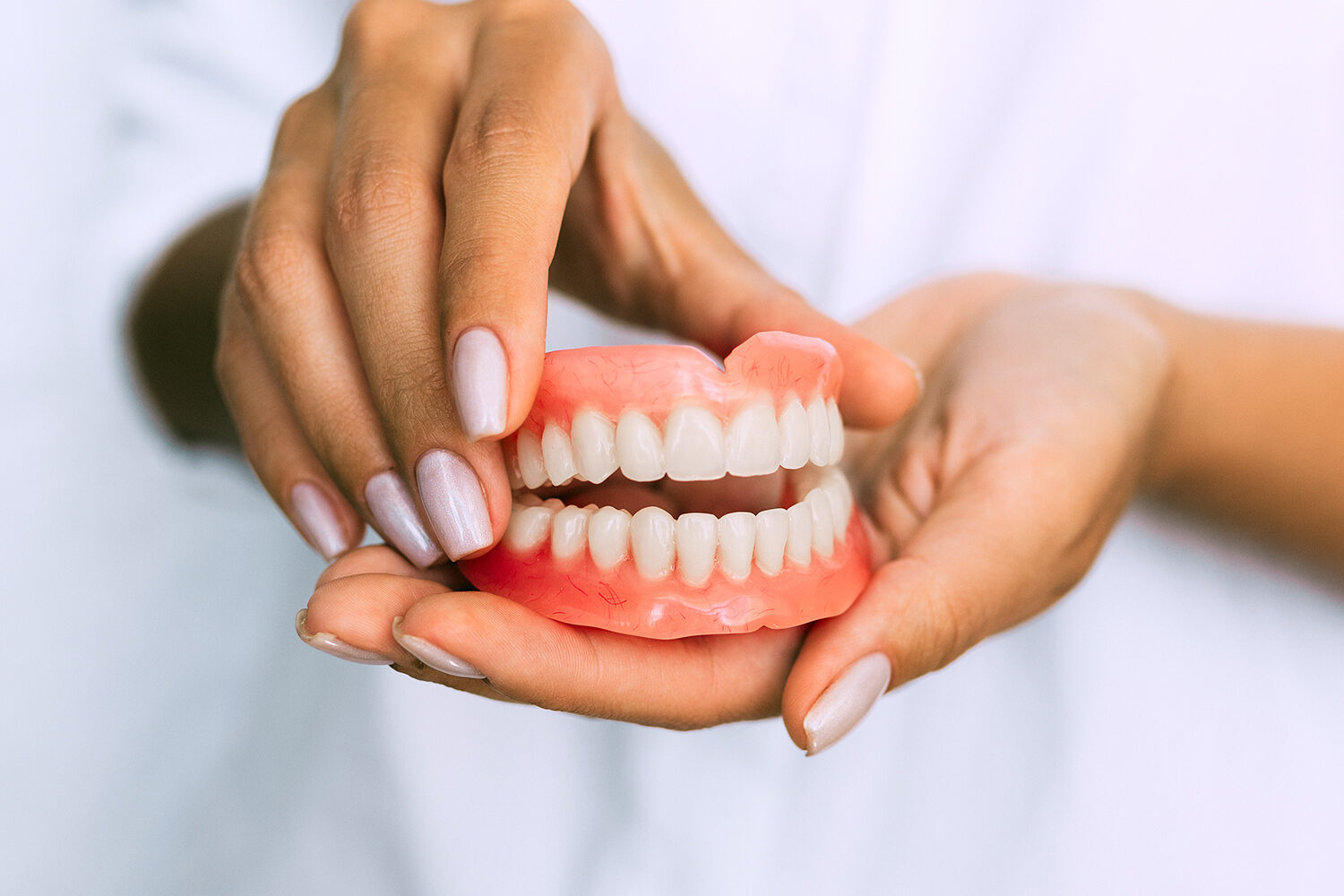 tipos dientes
